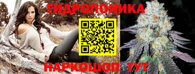 прущие крисы Бузулук